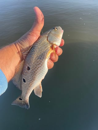 Destin Bay Charter