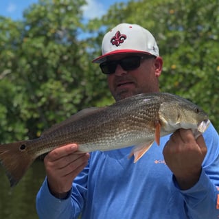 Redfish Fishing in Bonita Springs, Florida