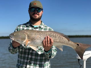 Redfish Fishing in Bonita Springs, Florida