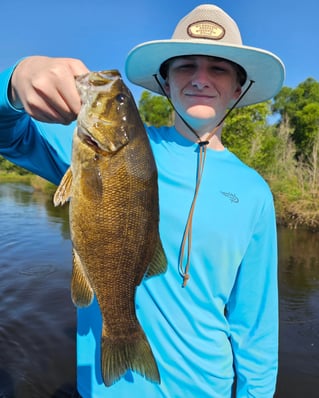 Walleye or Smallmouth Bass - Half Day Trip