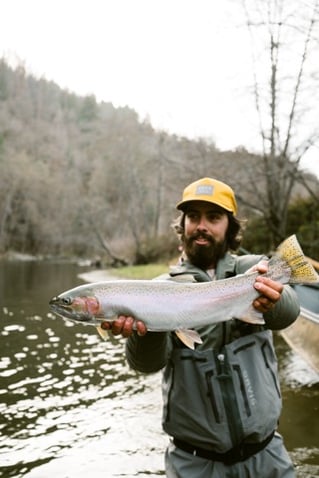 Steelhead in the Trinity River