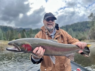 Steelhead in the Trinity River