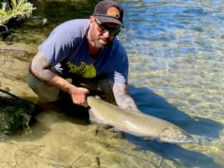 Steelhead in the Trinity River