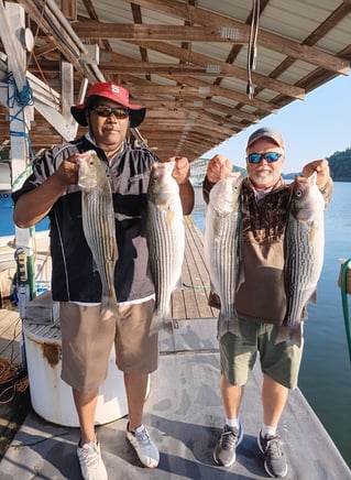 Striped Bass Fishing in Albany, Kentucky