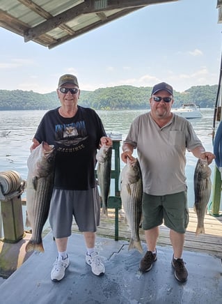 Striped Bass Fishing in Albany, Kentucky