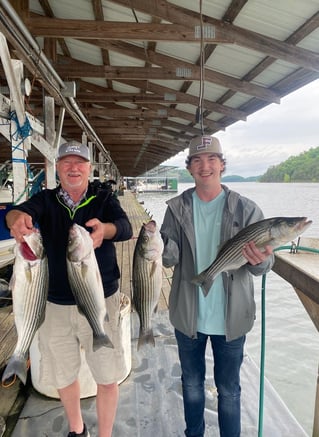 Striped Bass Fishing in Albany, Kentucky