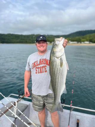 Striped Bass Fishing in Rogers, Arkansas