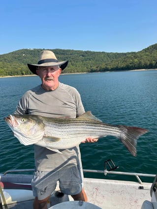 Striped Bass on beautiful Beaver Lake in NW Arkansas.