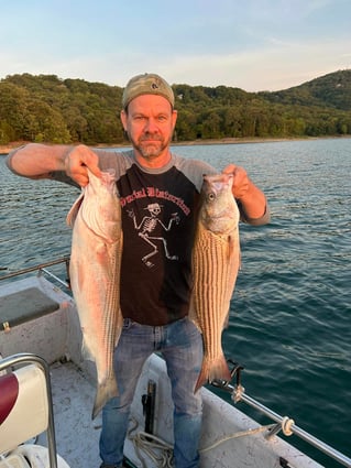 Striped Bass on beautiful Beaver Lake in NW Arkansas.