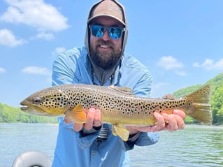 Brown Trout Fishing in Eureka Springs, Arkansas