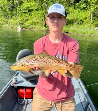 Brown Trout Fishing in Eureka Springs, Arkansas