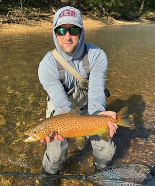 Brown Trout Fishing in Eureka Springs, Arkansas