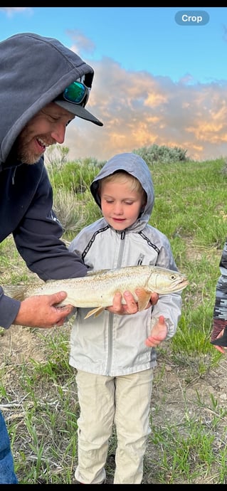 Half day trophy Brown Trout excursion. Spin-cast fishing