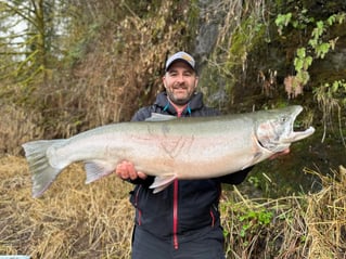 Winter Steelhead