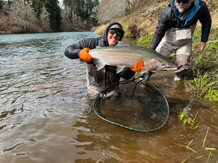 Winter Steelhead