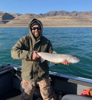 Pyramid Lake Trophy Cutthroats