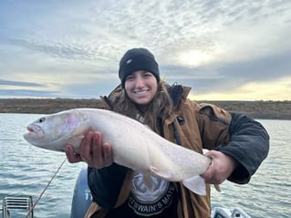 Pyramid Lake Trophy Cutthroats