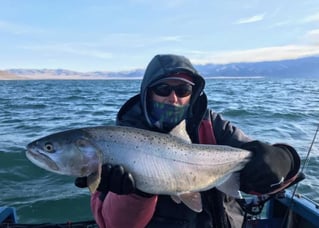 Pyramid Lake Trophy Cutthroats