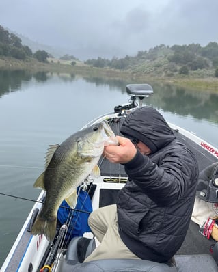 Largemouth Bass Fishing in Ventura, California