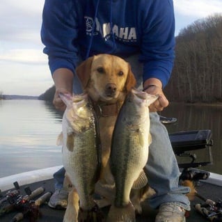 Lake Guntersville