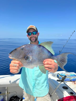 Triggerfish Fishing in Murrells Inlet, South Carolina