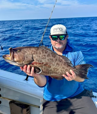 Black Grouper Fishing in Murrells Inlet, South Carolina