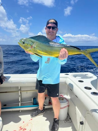 Mahi Mahi Fishing in Murrells Inlet, South Carolina