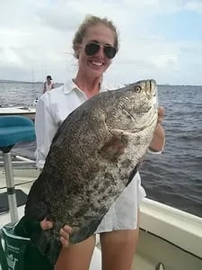 XL Tripletail, Tarpon & Redfish