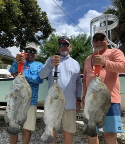 XL Tripletail, Tarpon & Redfish