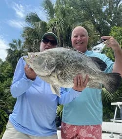 XL Tripletail, Tarpon & Redfish