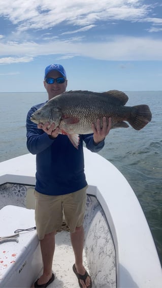 Tripletail Fishing in Apalachicola, Florida