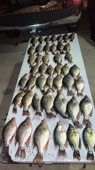 Lake Okeechobee Crappie Fishing