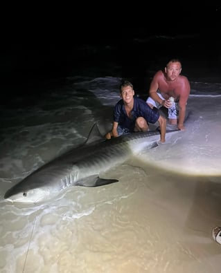 12 Hour Land Based Shark Fishing Trip!