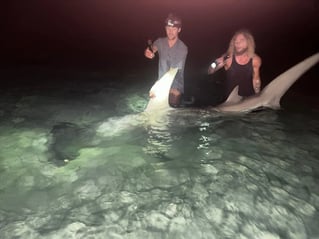 Tiger Shark Fishing in Rosemary Beach, Florida