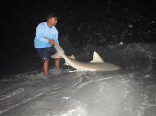 12 Hour Land Based Shark Fishing Trip!