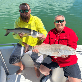 Fishing Thrills in Fort Myers