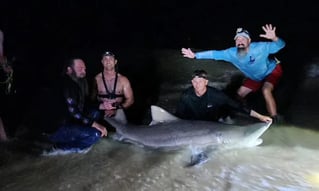 Shark Fishing Trip