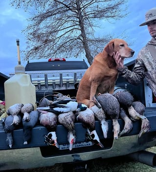 OBX Waterfowl hunting