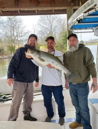 Guided Fishing Services For Striped Bass