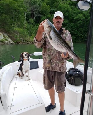 Guided Fishing Services For Striped Bass