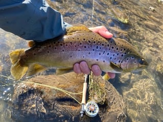 Virginia River Wading Trip