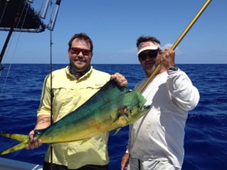 Mahi Mahi Fishing in Islamorada, Florida