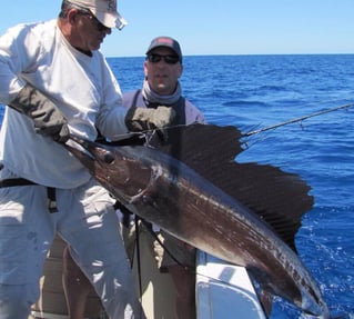 Sailfish Fishing in Islamorada, Florida