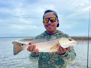 St. George Island/Apalachicola FL inshore fishing or touring