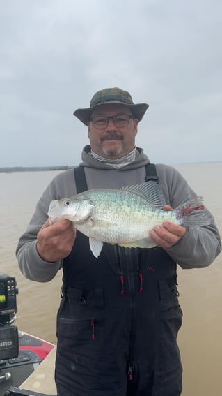 Crappie Fishing Trip