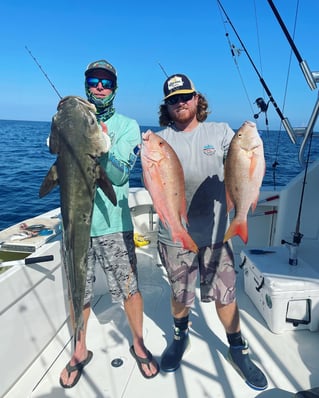 Cobia, Mutton Snapper Fishing in Fort Pierce, Florida