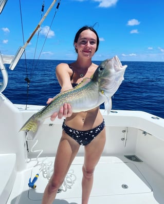 Tilefish Fishing in Fort Pierce, Florida