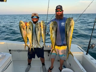 5-9 Hours Offshore Fishing Trip