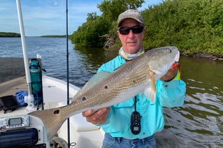 Everglades 10,000 Islands and Back Country Fishing