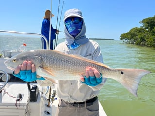 Everglades 10,000 Islands and Back Country Fishing